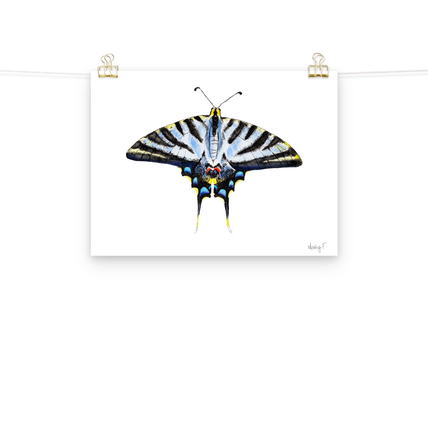 Light Blue Swallowtail Butterfly Watercolor Print | Various Sizes 12″×16″