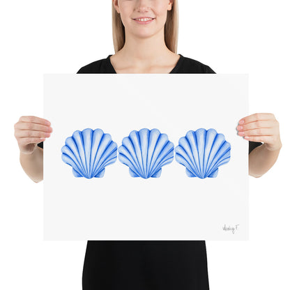 Print | Watercolor Blue Scallop Seashell Trio 16″×20″