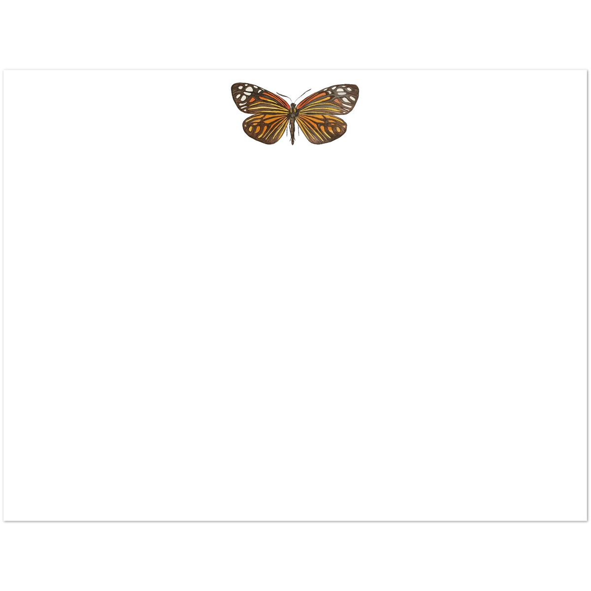 Set of 10 Black and Orange Butterfly Watercolor Illustrated Flat Notecards & Envelopes | 2 Sizes 4.25x5.5″ (SM)