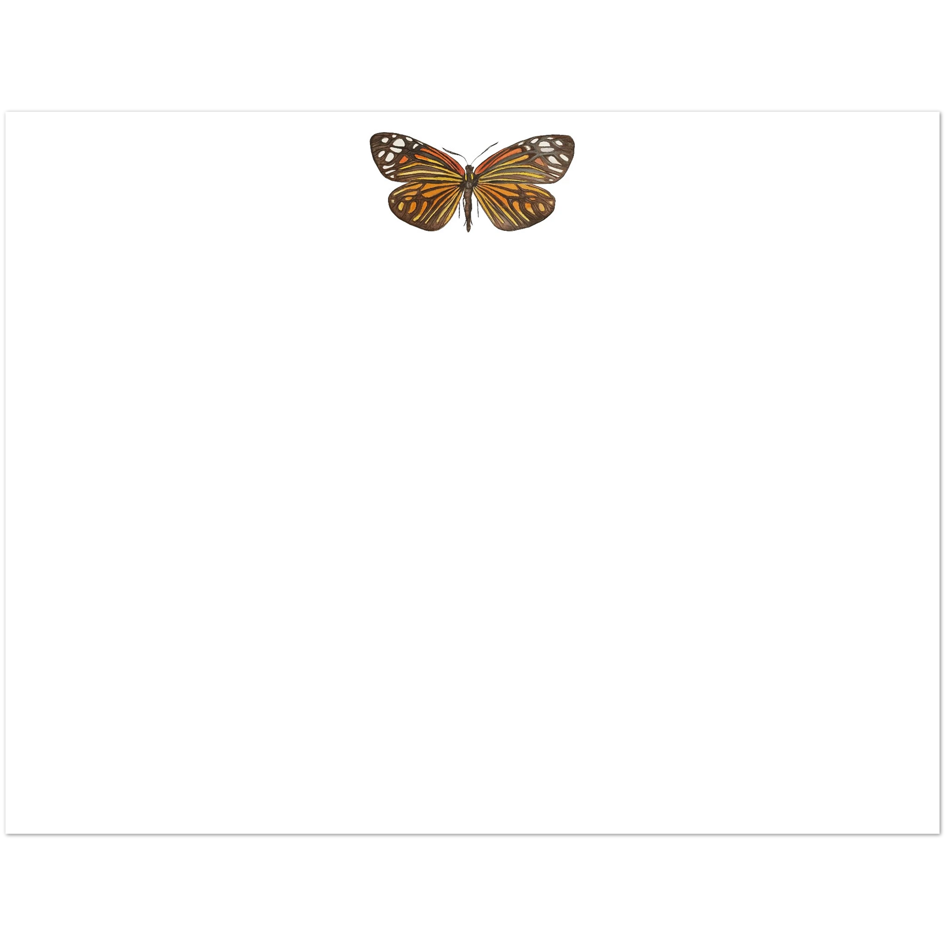 Set of 10 Butterfly Watercolor Illustrated Flat Notecards & Envelopes | 2 Sizes 4.25x5.5″ (SM)