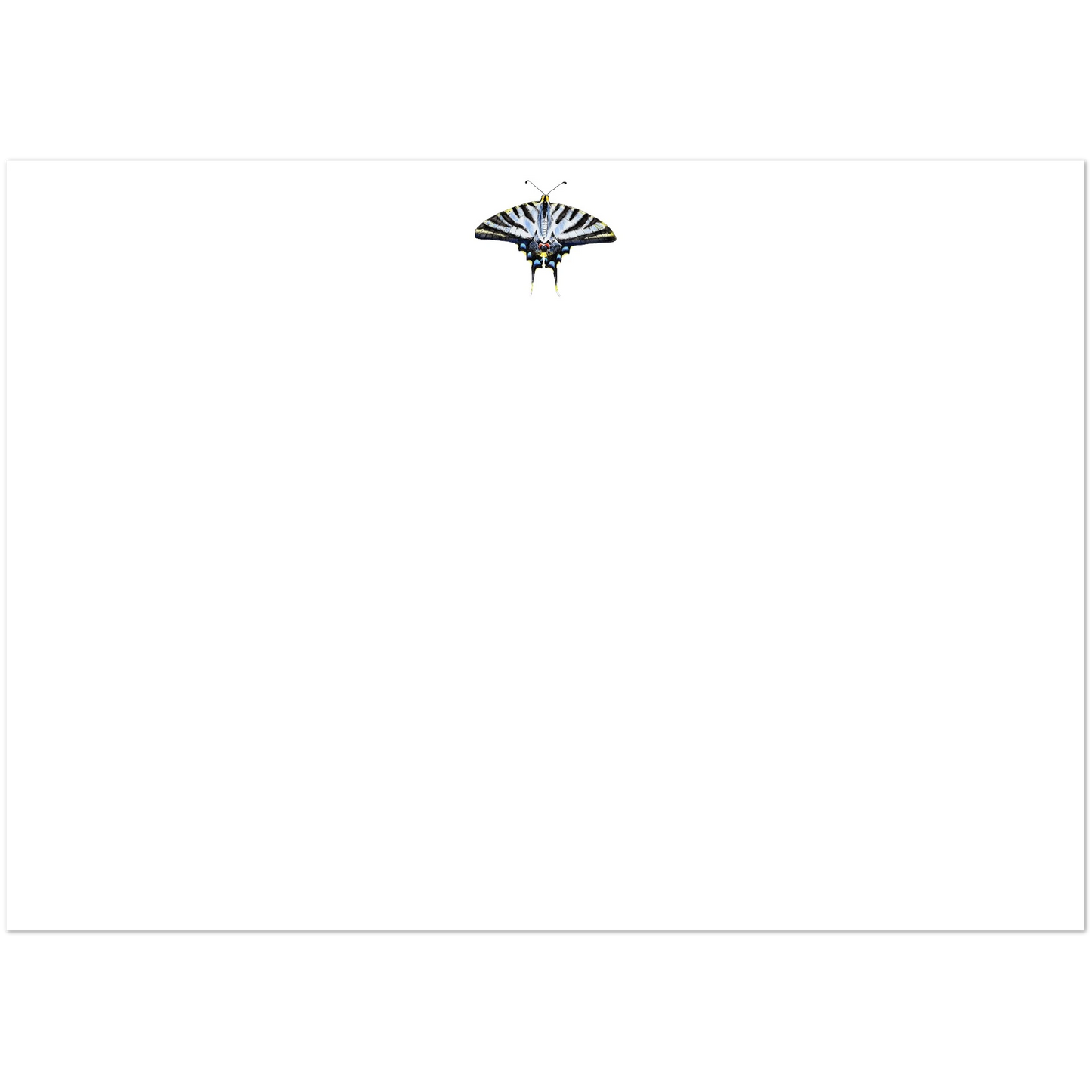 Light Blue Swallowtail Butterfly Watercolor Illustrated Flat Notecards | Set of 10 Cards & Envelopes | 2 Sizes 5R (5 x 7″)
