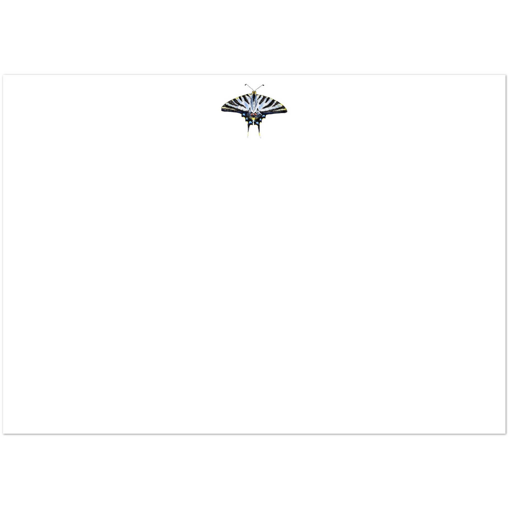 Light Blue Swallowtail Butterfly Watercolor Illustrated Flat Notecards | Set of 10 Cards & Envelopes | 2 Sizes 5R (5 x 7″)