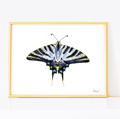 Light Blue Swallowtail Butterfly Watercolor Print | Various Sizes