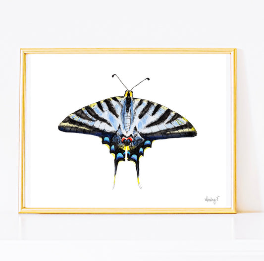 Light Blue Swallowtail Butterfly Watercolor Print | Various Sizes