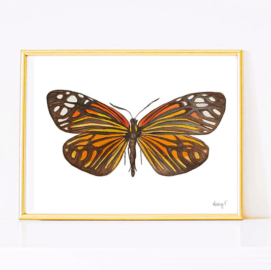 Print | Black & Orange Butterfly Watercolor | Various Sizes