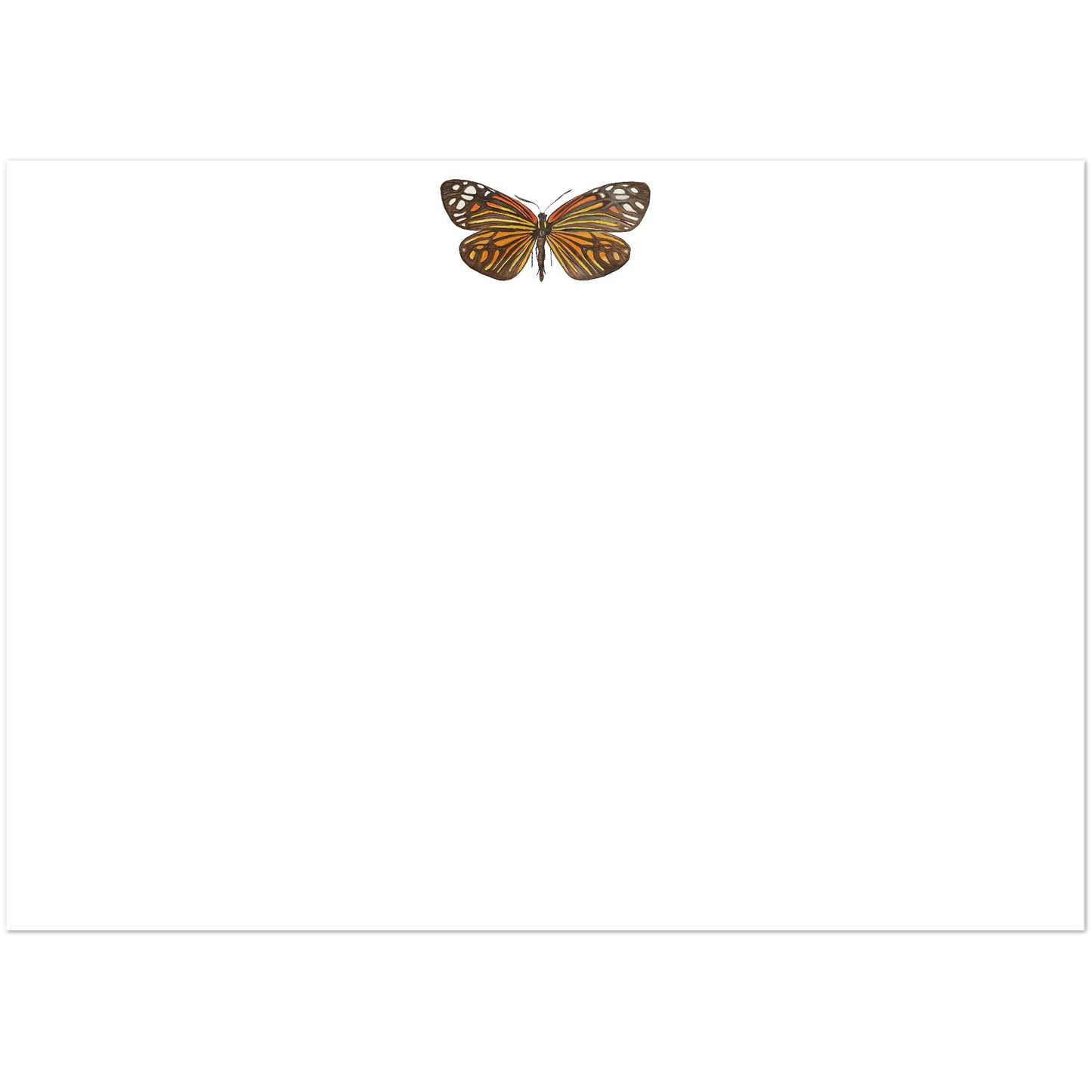 Set of 10 Butterfly Watercolor Illustrated Flat Notecards & Envelopes | 2 Sizes 5R (5 x 7″)