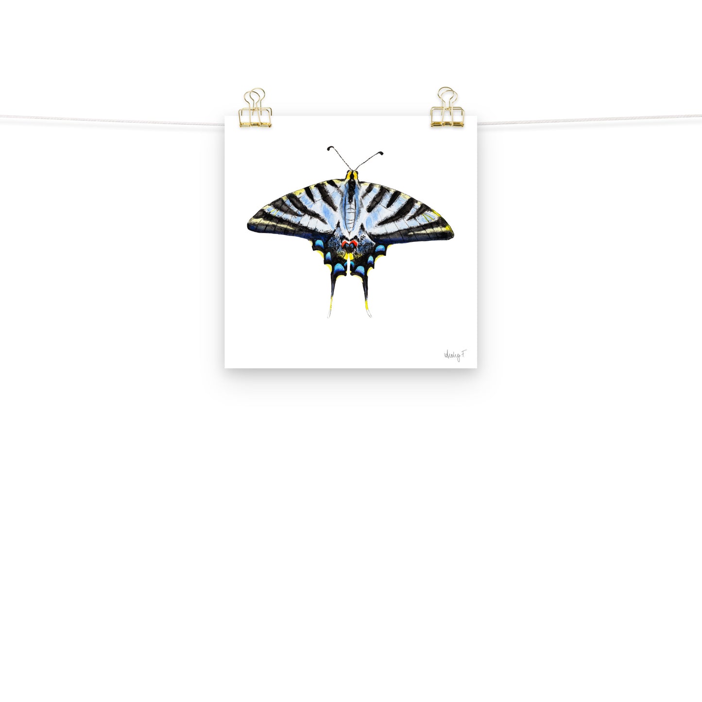 Light Blue Swallowtail Butterfly Watercolor Print | Various Sizes