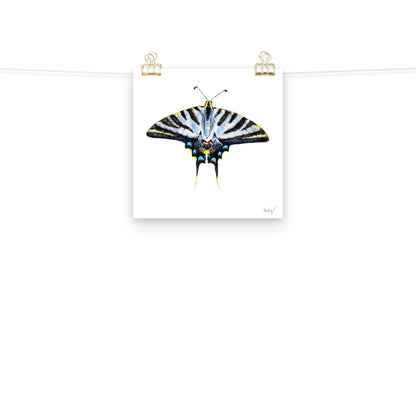 Light Blue Swallowtail Butterfly Watercolor Print | Various Sizes