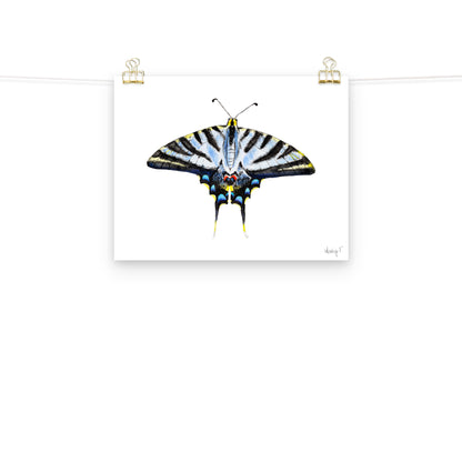 Light Blue Swallowtail Butterfly Watercolor Print | Various Sizes 11″×14″