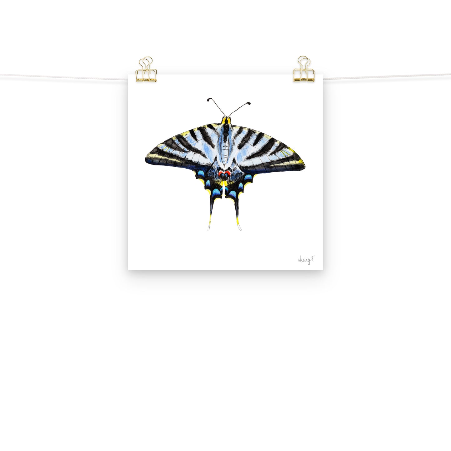 Light Blue Swallowtail Butterfly Watercolor Print | Various Sizes