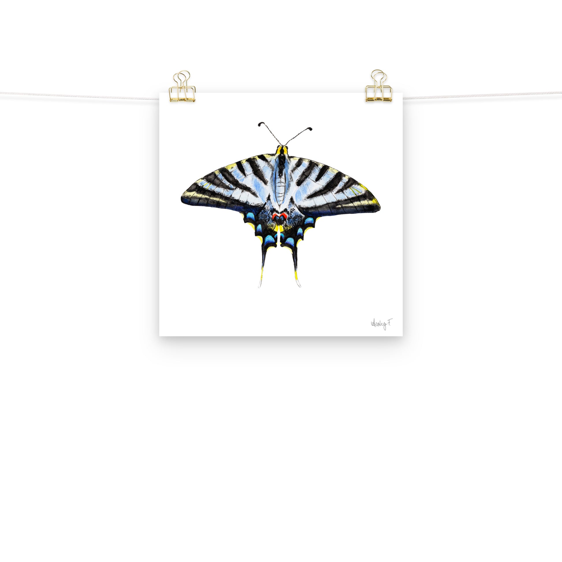 Light Blue Swallowtail Butterfly Watercolor Print | Various Sizes
