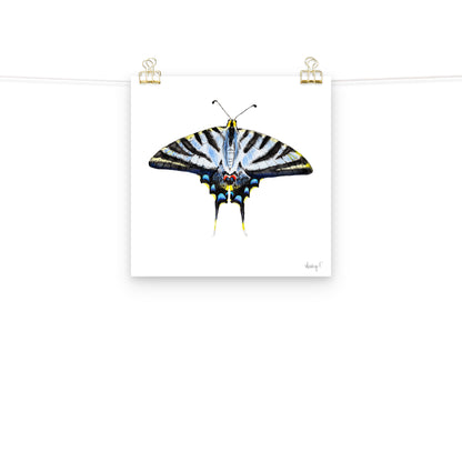 Light Blue Swallowtail Butterfly Watercolor Print | Various Sizes