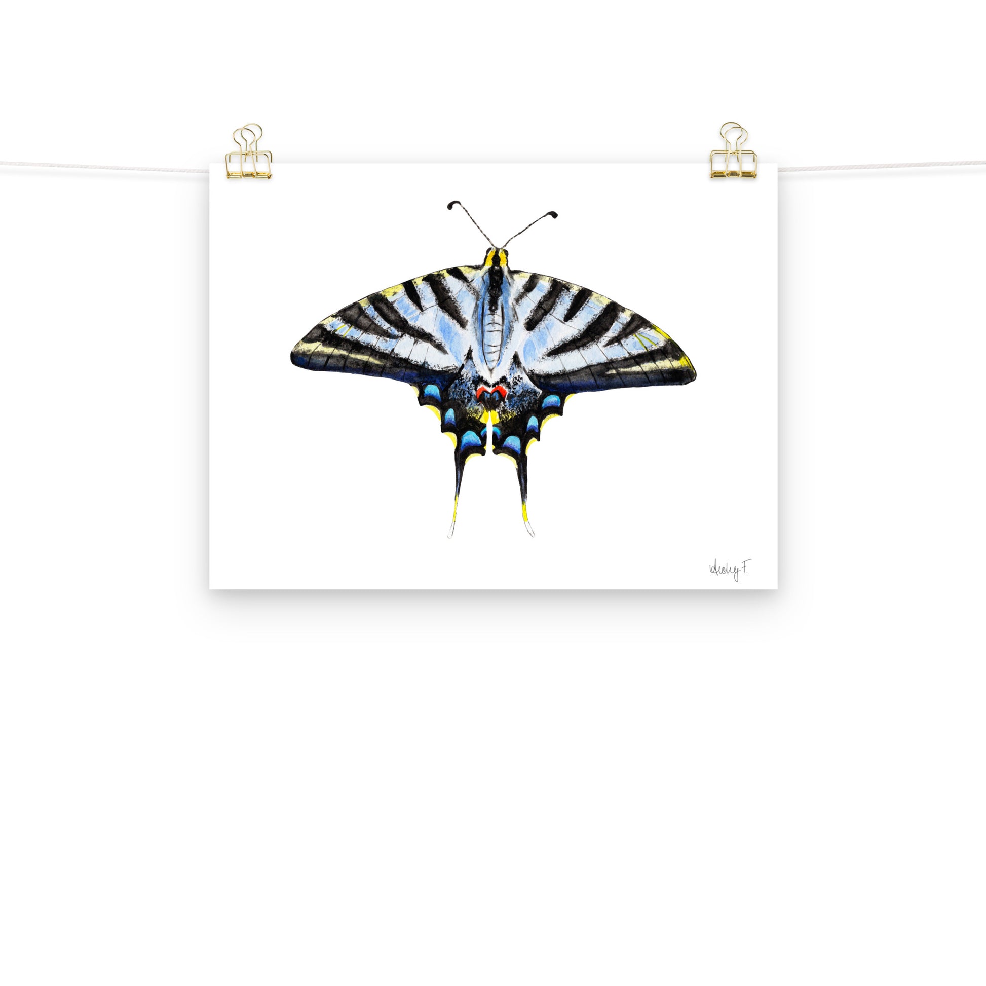 Light Blue Swallowtail Butterfly Watercolor Print | Various Sizes 12″×16″