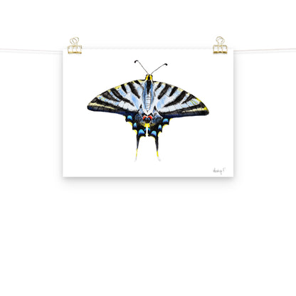 Light Blue Swallowtail Butterfly Watercolor Print | Various Sizes 12″×16″