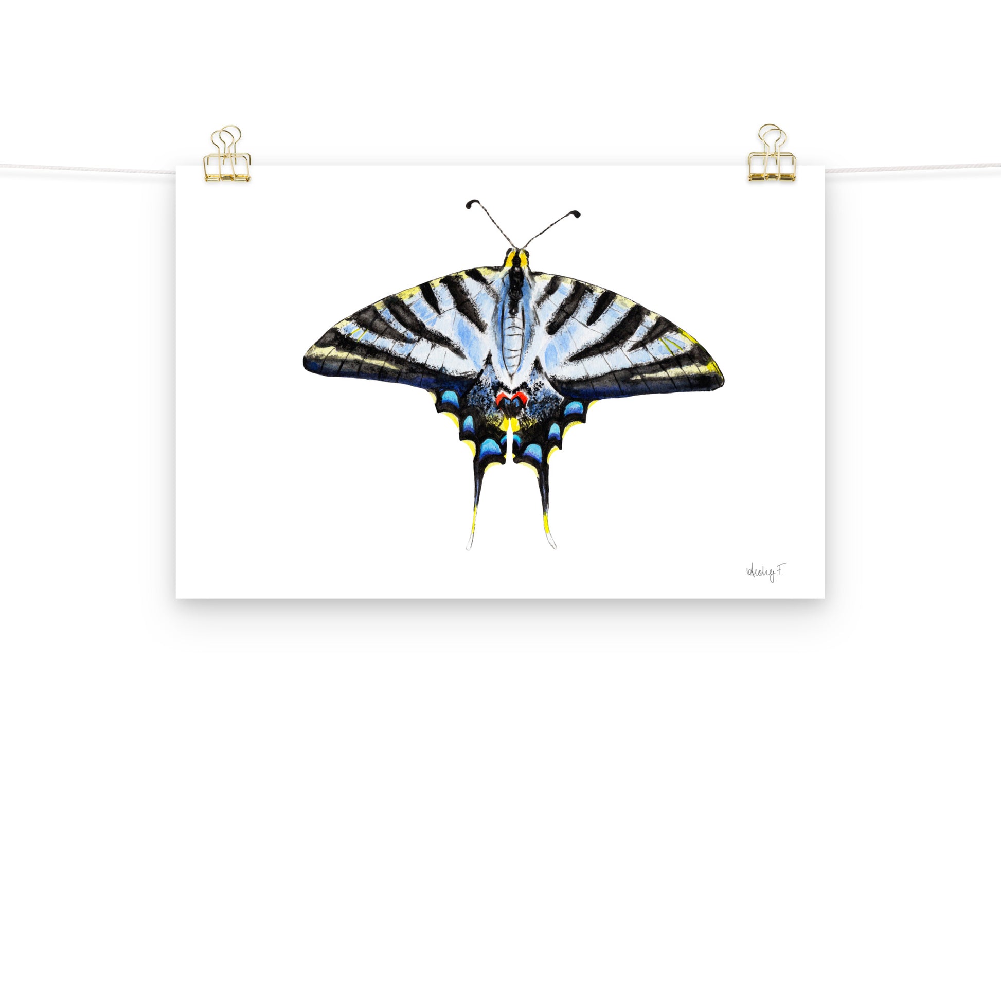 Light Blue Swallowtail Butterfly Watercolor Print | Various Sizes 12″×18″