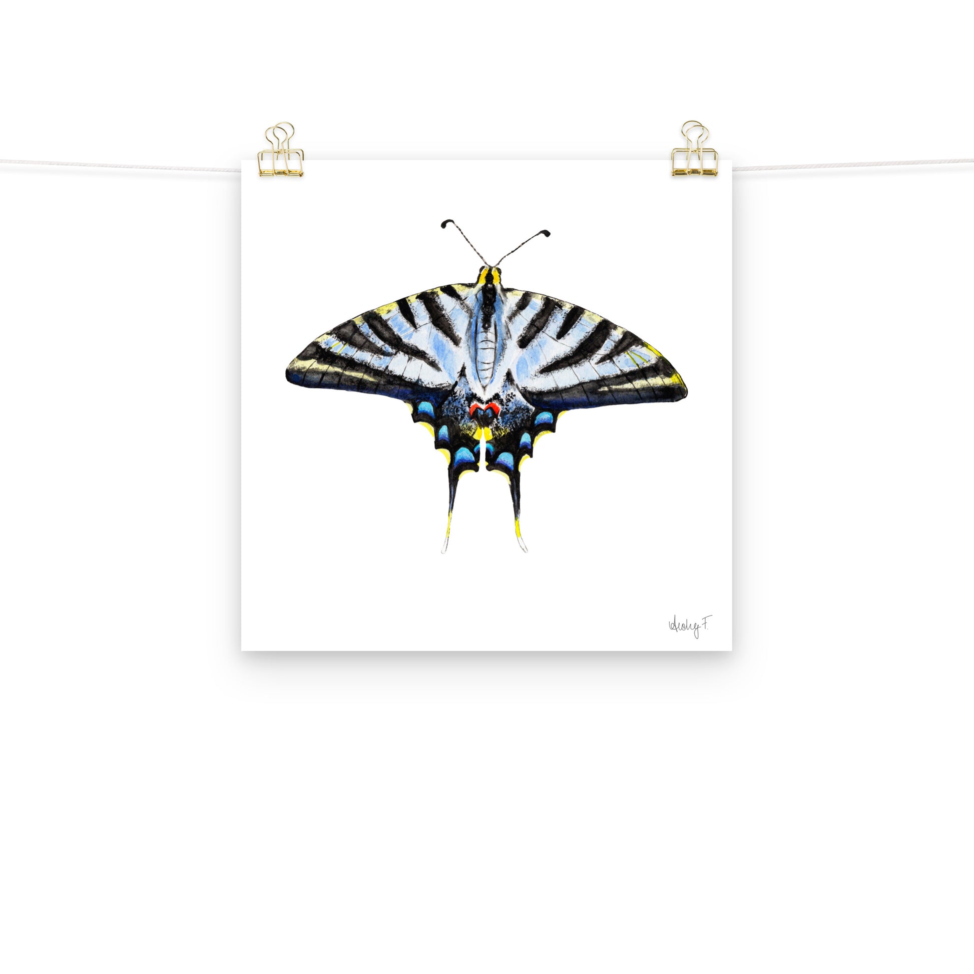 Light Blue Swallowtail Butterfly Watercolor Print | Various Sizes