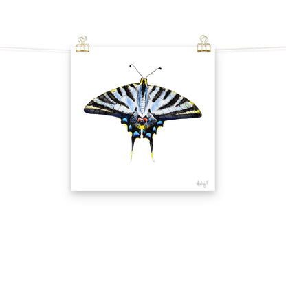 Light Blue Swallowtail Butterfly Watercolor Print | Various Sizes