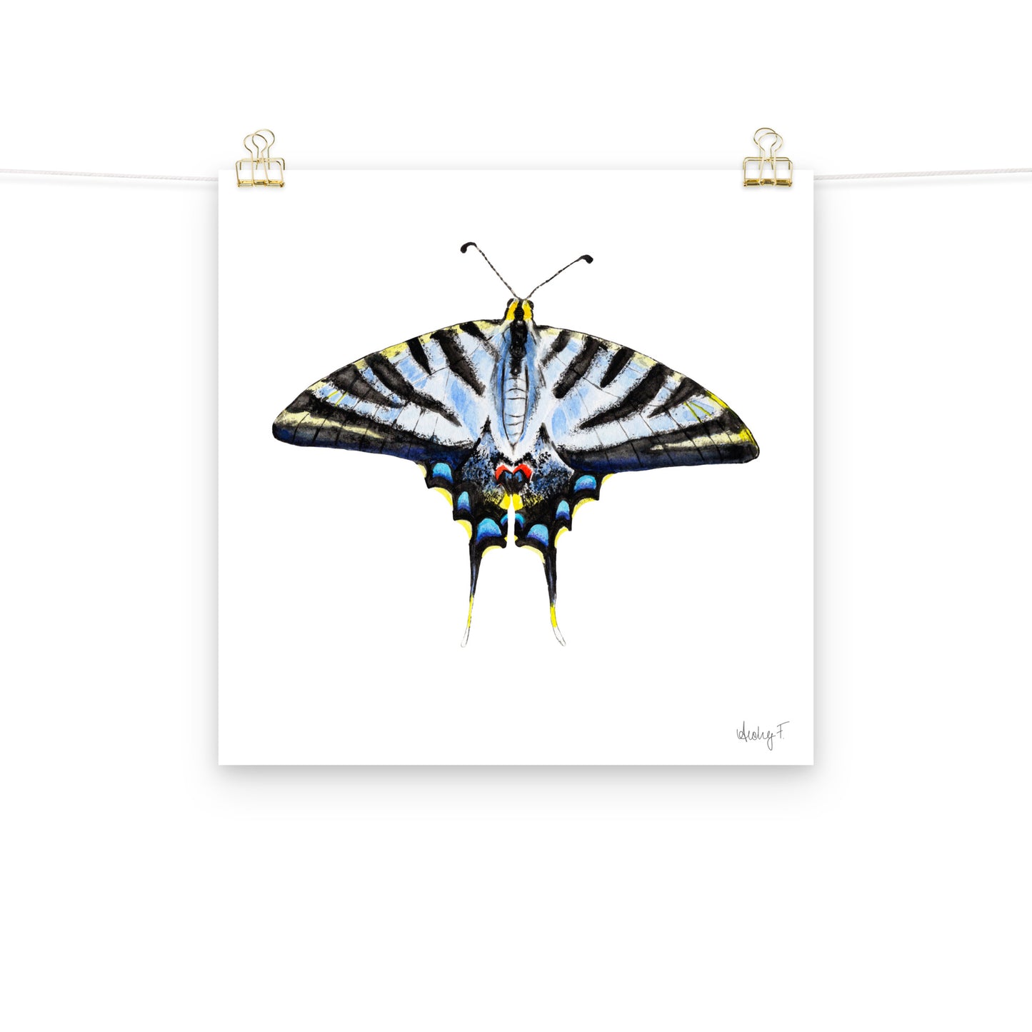 Light Blue Swallowtail Butterfly Watercolor Print | Various Sizes