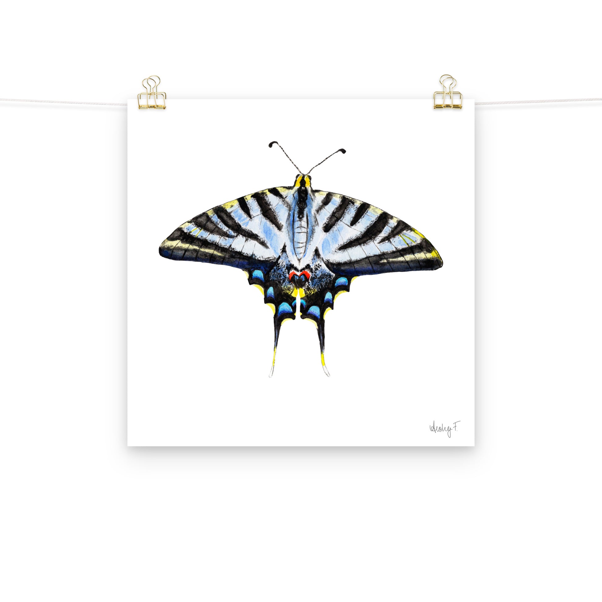 Light Blue Swallowtail Butterfly Watercolor Print | Various Sizes