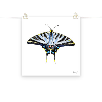 Light Blue Swallowtail Butterfly Watercolor Print | Various Sizes
