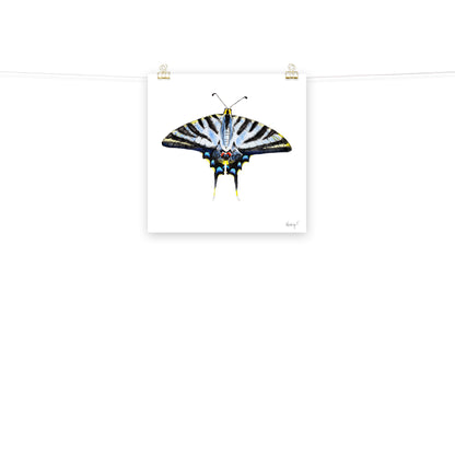 Light Blue Swallowtail Butterfly Watercolor Print | Various Sizes