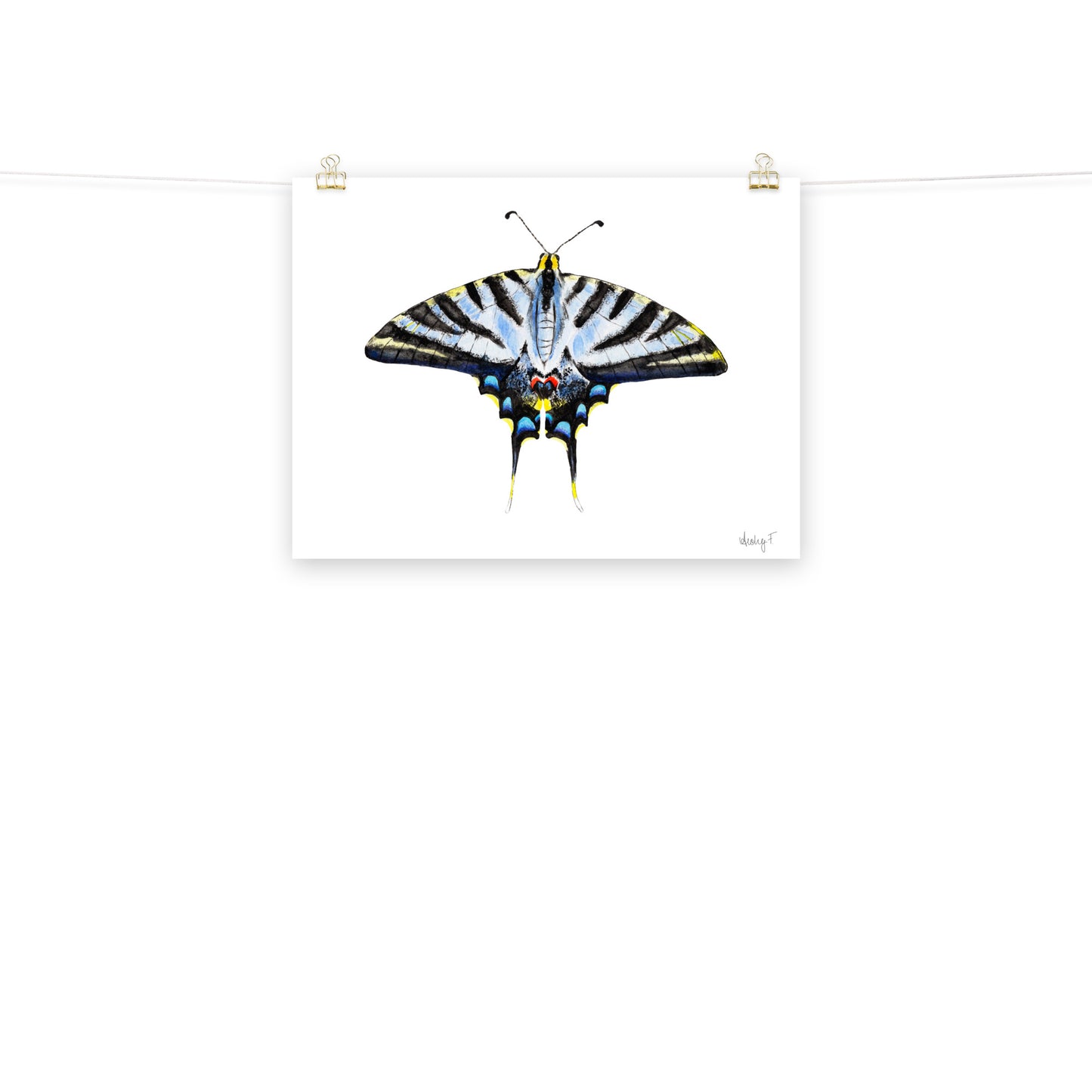 Light Blue Swallowtail Butterfly Watercolor Print | Various Sizes 18″×24″