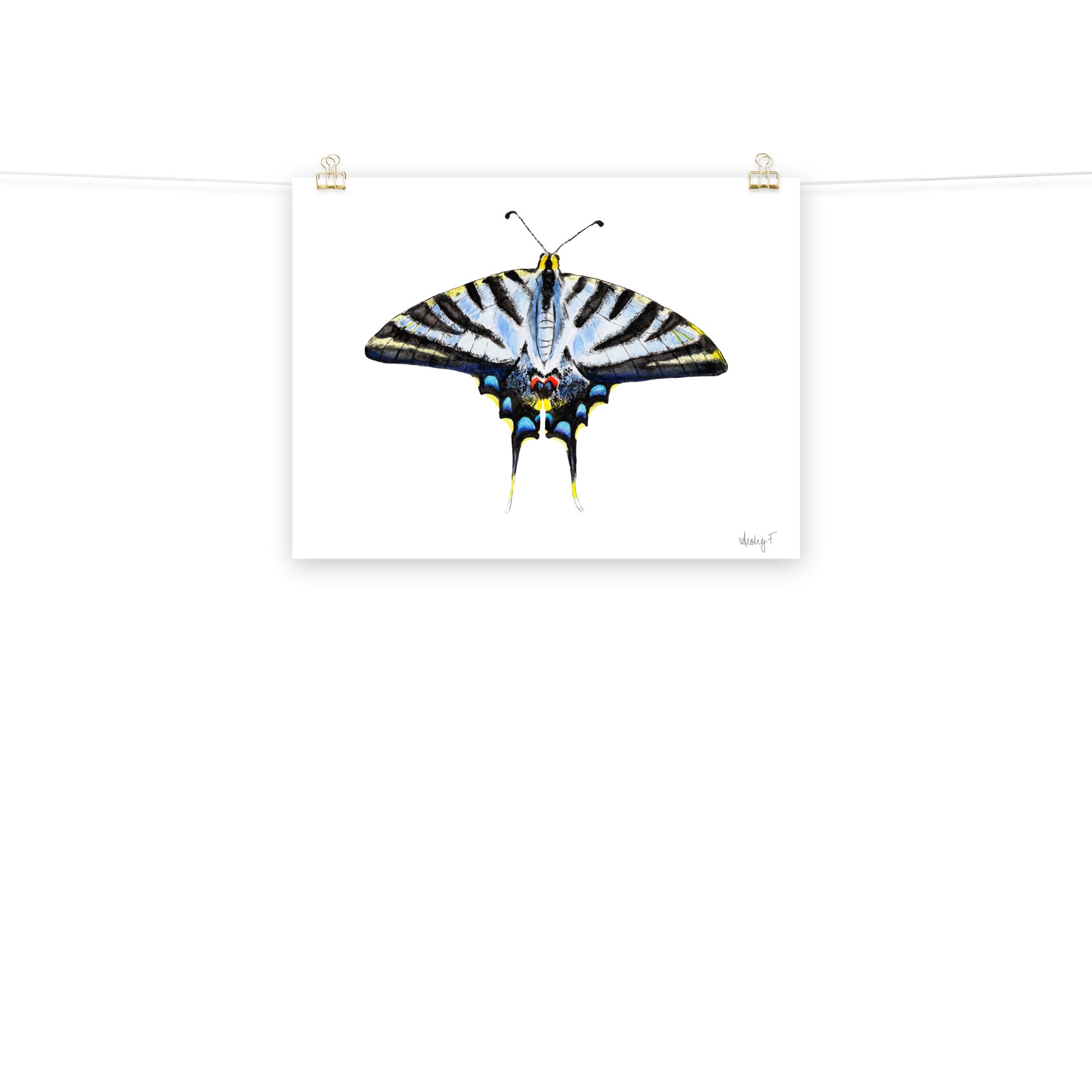 Light Blue Swallowtail Butterfly Watercolor Print | Various Sizes 18″×24″
