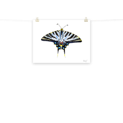 Light Blue Swallowtail Butterfly Watercolor Print | Various Sizes 18″×24″