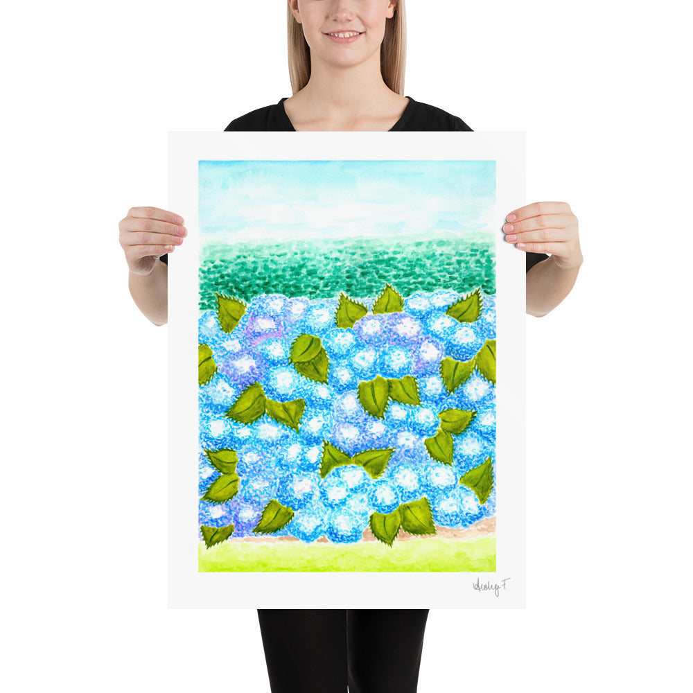 Print | Blue Hydrangea Blooms & Hedge Watercolor | Various Sizes