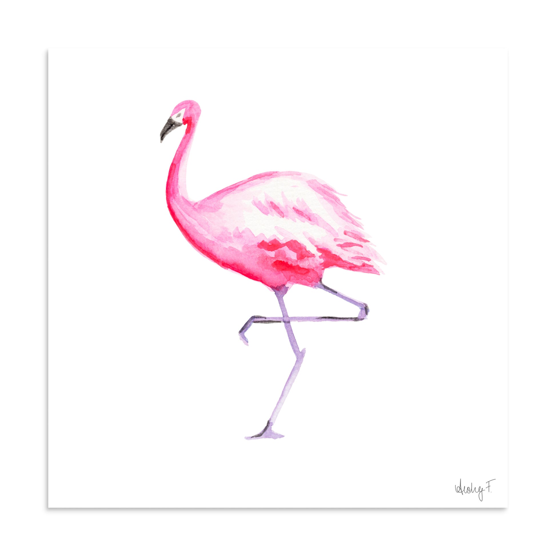 Hot Pink Flamingo Watercolor Print | Various Sizes 20″×20″