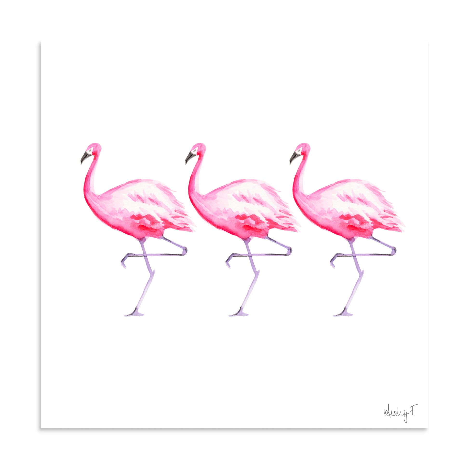 Hot Pink Flamingo Trio Watercolor Print | Various Sizes 20″×20″
