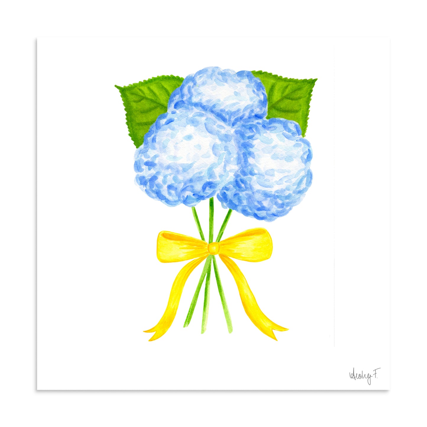 Bunch of Blue Hydrangeas Yellow Bow Watercolor Print | Various Sizes 20″×20″