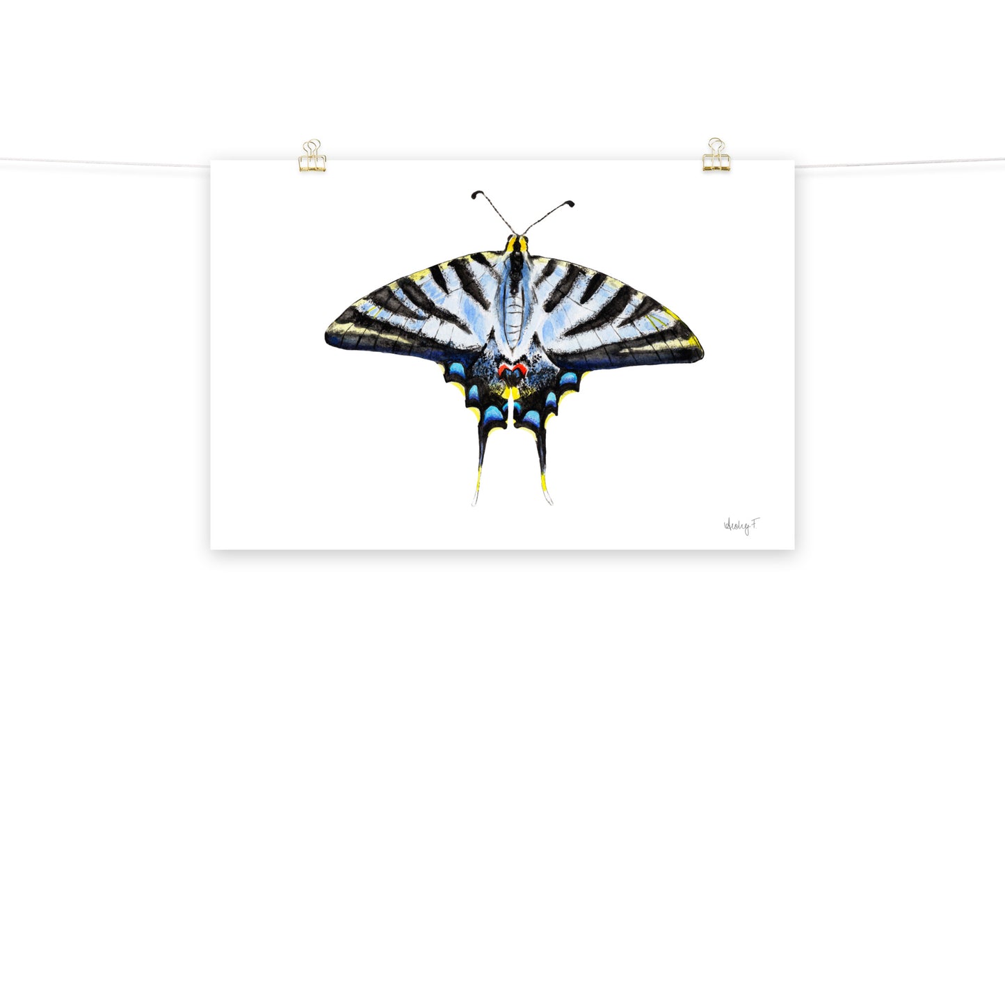 Light Blue Swallowtail Butterfly Watercolor Print | Various Sizes 20″×30″