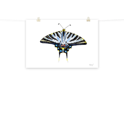 Light Blue Swallowtail Butterfly Watercolor Print | Various Sizes 20″×30″