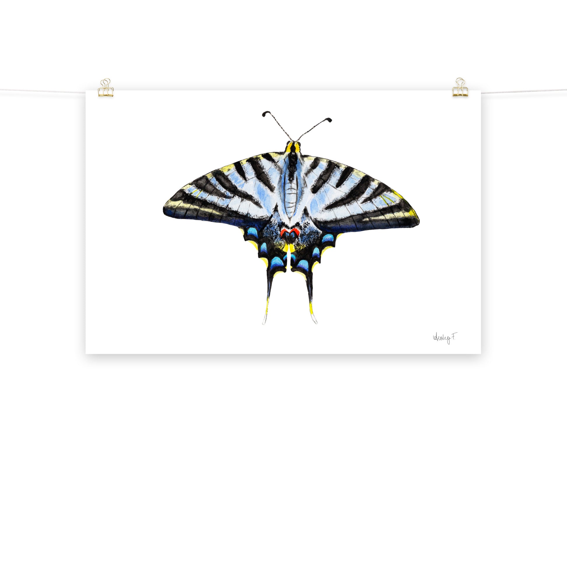 Light Blue Swallowtail Butterfly Watercolor Print | Various Sizes 24″×36″