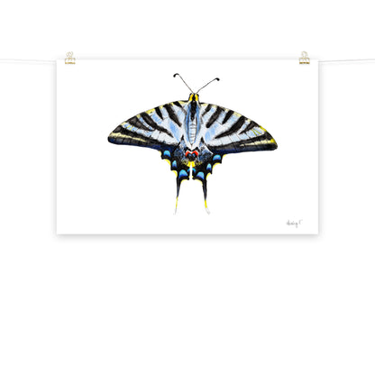 Light Blue Swallowtail Butterfly Watercolor Print | Various Sizes 24″×36″