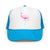 Blue / White / Blue