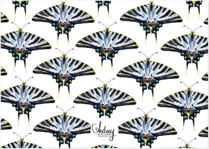 Thank You Cards Light Blue Swallowtail Butterfly Watercolor Illustrated Flat Notecards | Set of 10 Cards & Envelopes | 2 Sizes
